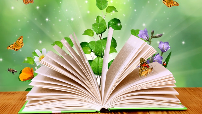 Illustration of: open book with plants and butterfliesrising from the pages