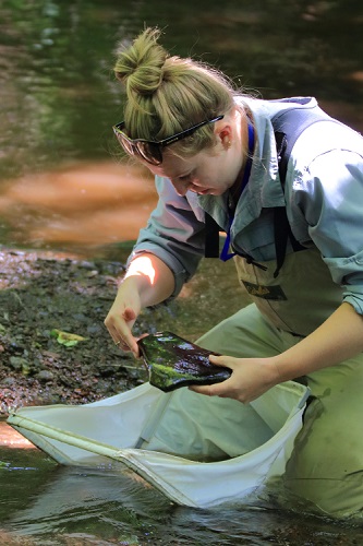 Photo of naturalist at the Upper Delaware Bioblitz 2024