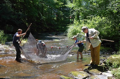 Photo of naturalists at the Upper Delaware Bioblitz 2024