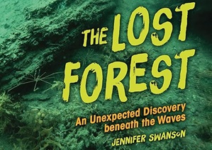 Book cover: the Lost Forest