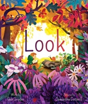 Book cover: Look