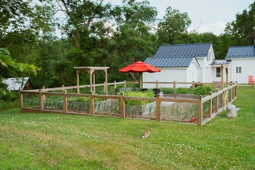 Photo of the Shirley Wendlandt Garden