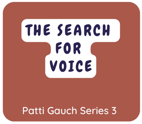 Burnt orange box with text: The Search for Voice. Patti Gauch Series 3